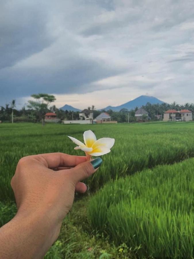 Svaha Ubud Ngoại thất bức ảnh
